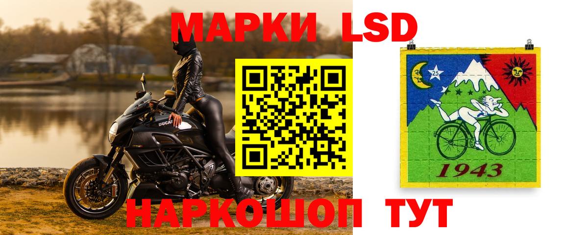 Бошки Шишки Орёл