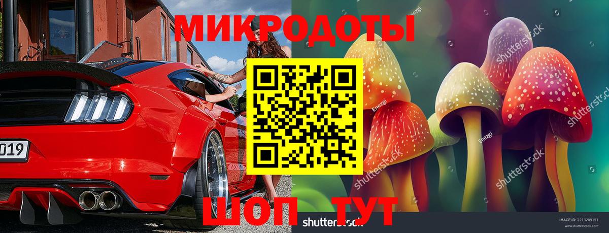Псилоцибиновые грибы прущие грибы Орёл